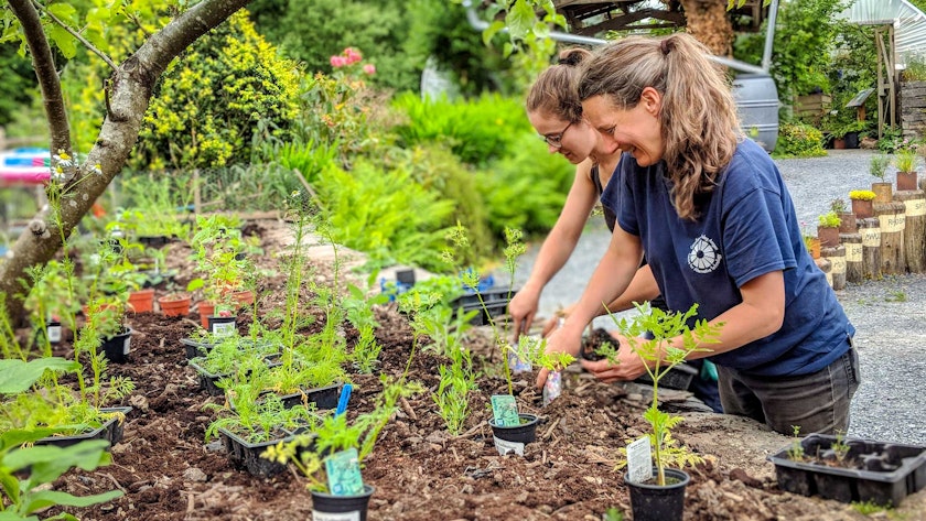 CAT gardener Petra shares skills with our volunteers.