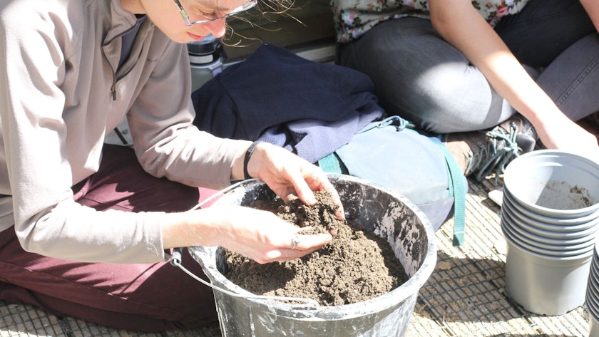 MSc student looks at soil in a bucket
